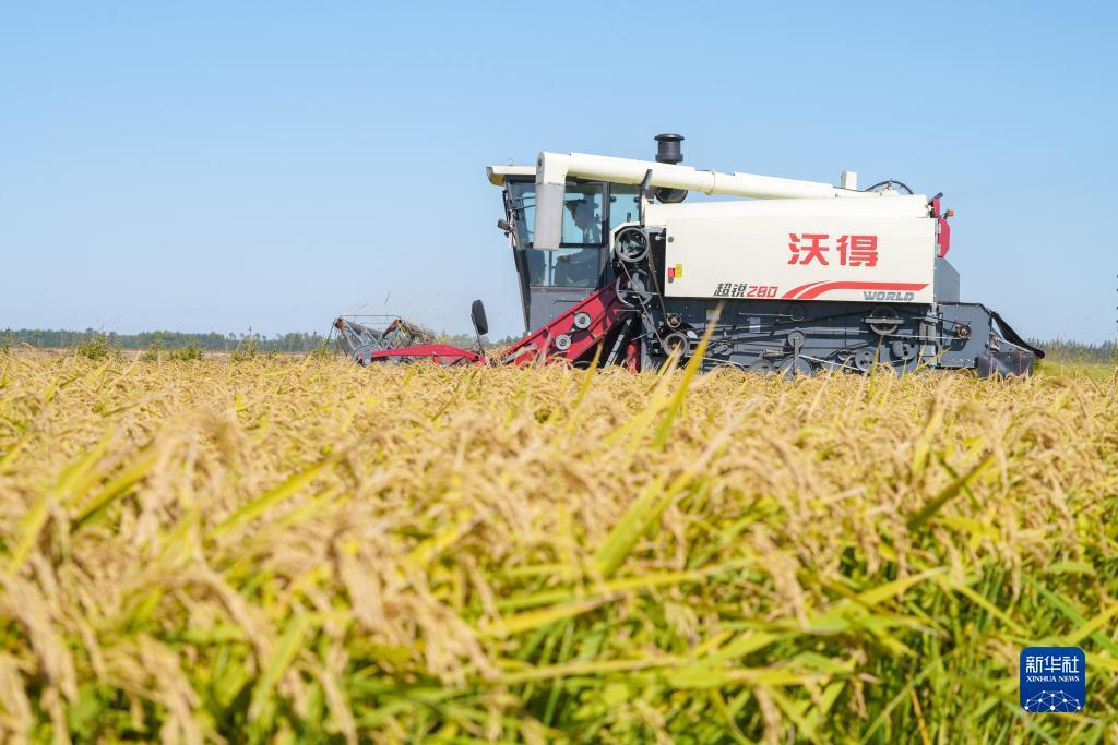 同城游五张牌